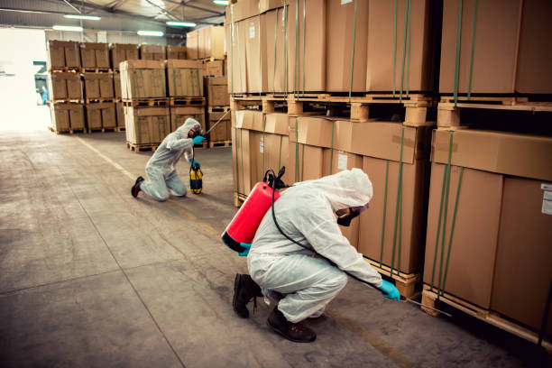 Best Flea Control Services  in Audubon, IA