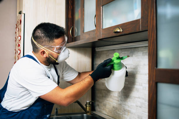 Best Wildlife Control Services  in Audubon, IA