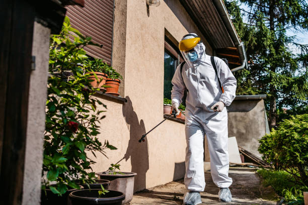 Best Residential Pest Control  in Audubon, IA