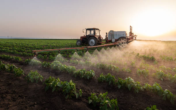 Best Ant Control Services  in Audubon, IA