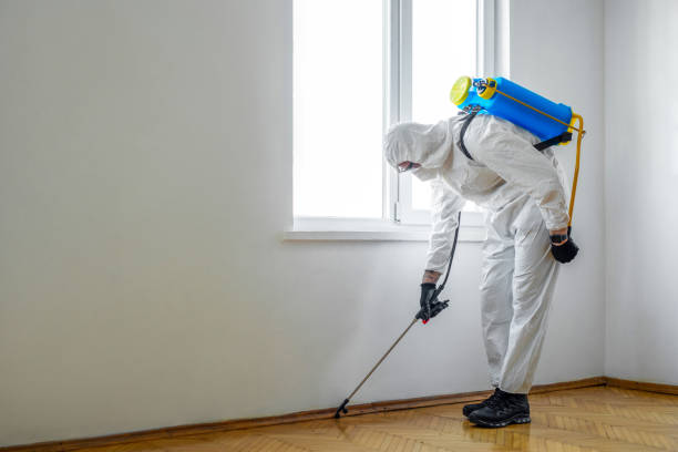 Best Flea Control Services  in Audubon, IA