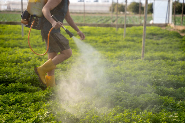 Best Commercial Pest Control Services  in Audubon, IA