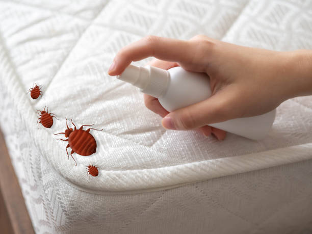 Best Pest Prevention Services  in Audubon, IA